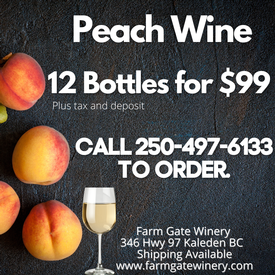 Peach Case $99
